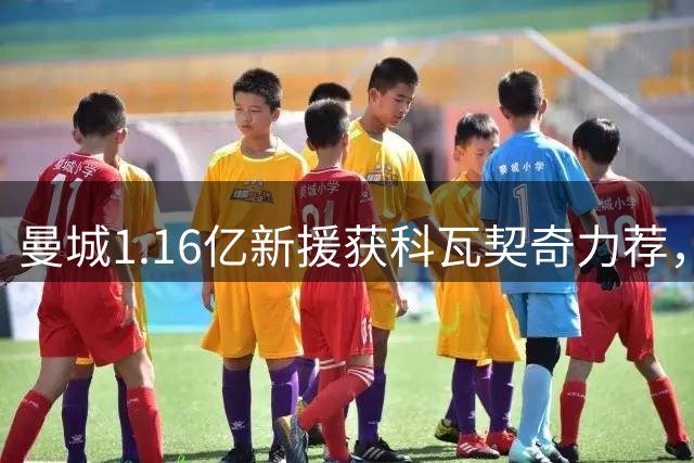 曼城1.16亿新援获科瓦契奇力荐，罗德里伤缺或成升级催化剂