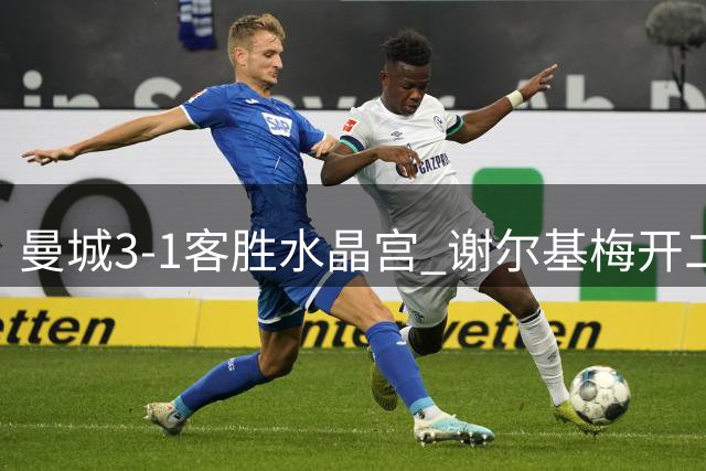 曼城3-1客胜水晶宫 谢尔基梅开二度助球队登顶
